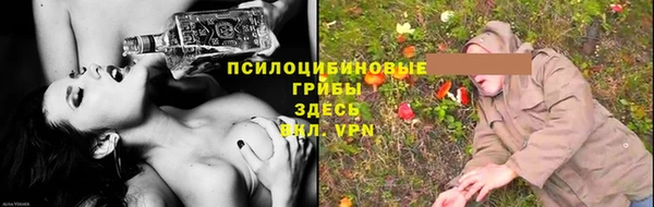 крисы Магадан