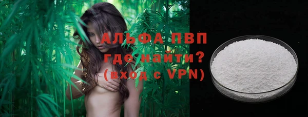 крисы Магадан