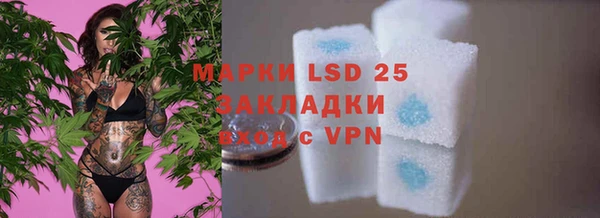 крисы Магадан