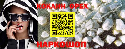 гидра Кандалакша
